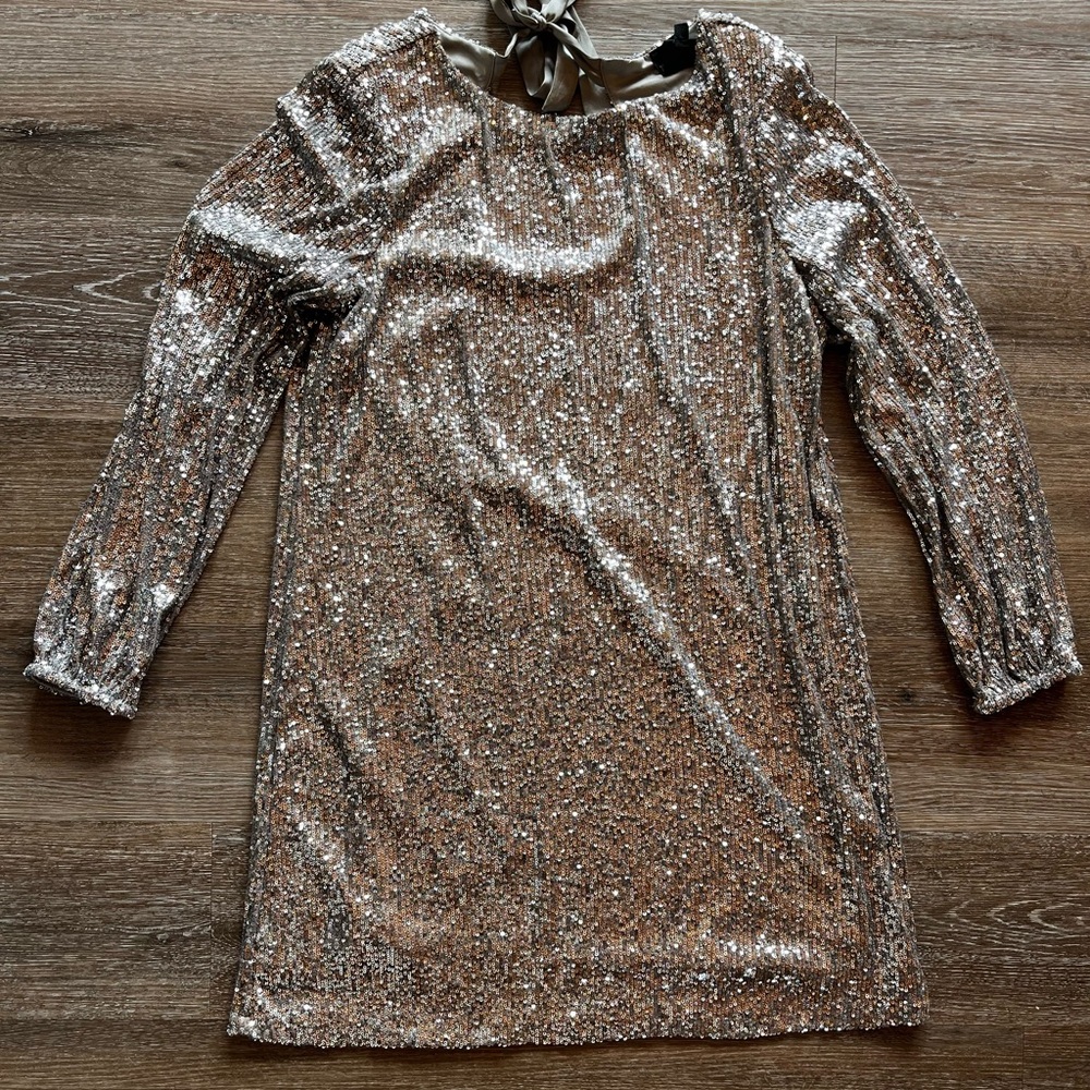 Silver sequence dress